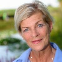 600+ "Wildenberg" profiles