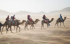 Failure to do so will result in your removal from the community. Camel Riding Is It Ethical And What Is A Trekking Expedition Like
