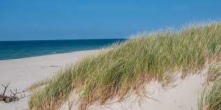 53,178 likes · 3,560 talking about this · 166,403 were here. Die Schonsten Strande In Holland Fur 2021 Inkl Bilder Reiseuhu De