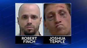 2 accused of carjacking, trying to run over police