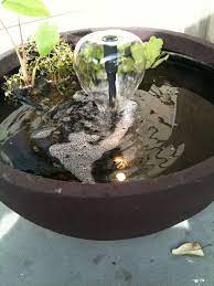 Pin On Container Water Garden Kits