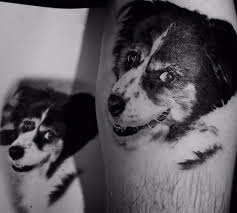 Dog Portrait Tattoo Photorealism Michigan The Shop Custom Tattoos Fowlerville Michigan