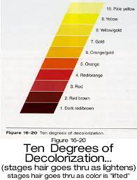 Stop Gray Hair When It Starts With Catalase Xp No Gray Hairs How To Lighten Hair Hair Color Hair Color Chart