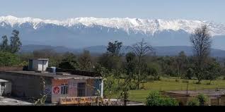 Kisaran himalaya ditinggikan lebih dari 7.200 meter dan rumah bagi puncak gunung tertinggi di dunia seperti himalaya adalah rumah bagi banyak spesies anjing yang tidak umum dan langka. Pertama Kali Dalam 30 Tahun Himalaya Terlihat Dari India Karena Polusi Berkurang Merdeka Com