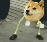 Everything in this video was edited by our team, and falls. Doge Bonk Gifs Get The Best Gif On Giphy