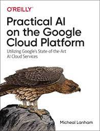 Whereas analysts hotly debate the advantages and risks of cloud computing note: Amazon Com O Reilly Media Google