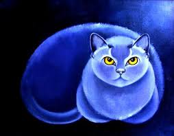 Les Chats De Marie Tuffreau Peinture De Chat Chat Peinture