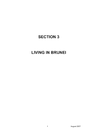 Check spelling or type a new query. Life In Brunei