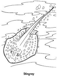 Stingray Coloring Page
