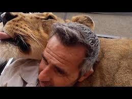 Mischief Maker Gabby The Lioness The Lion Whisperer Youtube In 2021 Lions Lioness Gabby