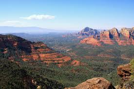 Image result for Schinziella