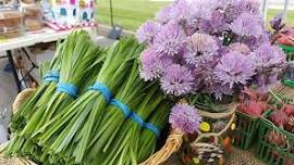 Spring Harvest Festival