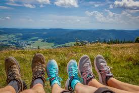 We did not find results for: Best Low Top Hiking Shoes Of 2021 Wildland Trekking Gear Guide