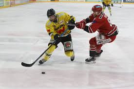 Bundesliga, oberligen, nhl, international, landesverbände, nachwuchs und frauen. Ue9d6mgxwcmtum