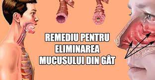 Mucusul în gât și congestia nazală sunt cele mai frecvente cauze de tuse și dificultăți de respirație. Remediu Simplu Care Te Va Scapa De Tot Mucusul In Exces Din Plamanii Si Gat