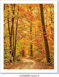Freeart Fa10765998 Autumn Forest Autumn Landscape Beautiful Landscape Images