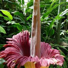 Dann würden wir uns freuen, wenn sie die uns. Okologisch Botanischer Garten Bayreuth Home Facebook