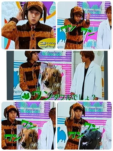嵐の犬のキモチになってみましたワン!