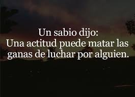 Un Sabio Dijo Un Sabio Dijo Frases Sabias Decir No