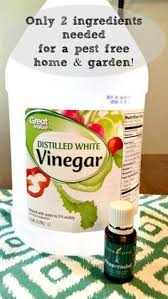 Mark Donathan (markwadedonatha)