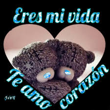 Spanish pronunciation of eres el amor de mi vida. Eres Mi Vida Te Amo Corazon Desicomments Com