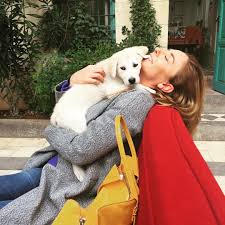 Ece Uslu On Instagram Bu Nasil Bi Lokumdur Ama Yaaa Dog Pet Pictureoftheday Picoftheday Lovely Instalove Beautifull Cute Love Baby Pets Cute Dogs