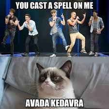 The official grumpy cat brand has a store on zazzle featuring hilarious grumpy cat memes that you can. Cast A Spell On Them Meme Funny Grumpy Cat Memes Cat Memes Clean Grumpy Cat Humor