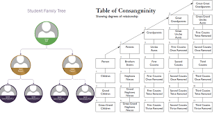 create a binary tree for your family tree the exa