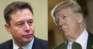 Tesla stock set to plummet further as Elon Musk's personality puts  customers off : r/RealTesla