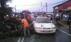 We did not find results for: 5 Sekeluarga Terselamat Pokok Hempap Kereta