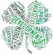 Flagler Co 4 H Starts In September In 2020 4 H Club Science Fair 4 H Clover