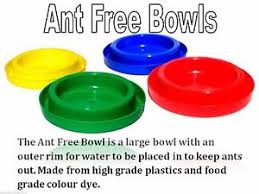 Simply place the bowl, dish or item you want protected on the plate. Ant Free Coloured Plastic Bowls For Cats Small Dogs Australian Made Ebay