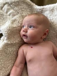 Why are the Orionids known to be one of the most beautiful meteor showers?  These showers peak with 10-20 meteors per hour, which can leave trails  across the sky that last for