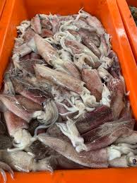 Maybe you would like to learn more about one of these? Cyberjaya Info On Twitter Warga Cyberjaya Yang Nak Dapatkan Barang Basah Segar Seperti Ikan Udang Sotong Dan Ketam Boleh Dapatkan Di Kedai Runcit Acheh Di Masreca Cyber 10 Https T Co Eckl4tauld