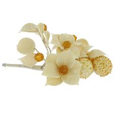 Check spelling or type a new query. Murano Glass Flowers Murano Glass White And Honey Flowers On A Stem
