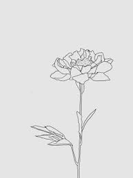 Detailed coloring pages garden coloring pages color abstract coloring pages colorful nice little town: Download Aesthetic Rose Drawing Png Png Gif Base