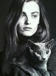 All Creatures Great & Small