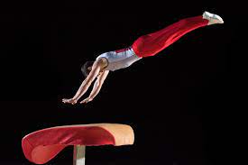 Information About The Vault In Gymnastics