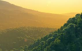 Wallpaper For Desktop Laptop Mb27 Wallpaper Evergreen Curves Mountain Download hd laptop wallpapers best collection for your laptop pc. papers co