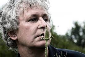 Reaching 40: Rock band Guided By Voices continues defying odds