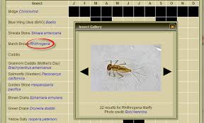 help fishing map fishing log insect hatch charts