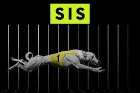 With no air cover protection for 5 days. Sis Publishes Uk Greyhound Return To Racing Schedule Recent Slot Releases Fresh Industry News