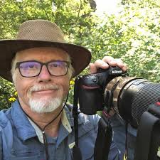 Two Wild Horses Show Love and Affection