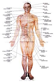 Nyc Manhattan Brooklyn Akupresur Refleksiologi Tubuh Manusia
