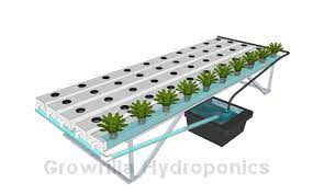The 4 Best Hydroponic Cultivation Techniques Growrilla Hydroponics