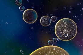 We did not find results for: 4 Ikerbasque Researchers Awarded By The Royal Spanish Chemical Society Ikerbasque Basque Foundation For Science