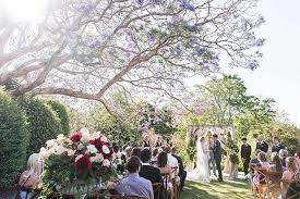 That Tree In All Of It S Wedding Glory Weddings By Spicersclovellyestate Spicersclovellyweddings Flowers Mond Coast Wedding Wedding Wedding Planning