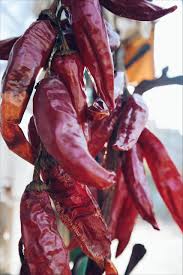 Tak kisahlah sama ada celah jari tangan ataupun kaki. Banyak Kutu Dalam Beras Ini Dia 5 Petua Hilangkan Kutu Beras Dengan Pantas Dan Berkesan Daily Makan
