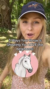 What Does Horse Play Mean