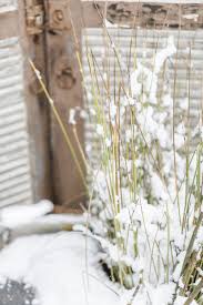 Wurzelgemuse Vom Blech Rezept Wintereinbruch Winter Und Winterrezepte
